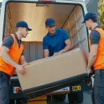 How to Choose the Best Movers from Alaska to Hawaii
