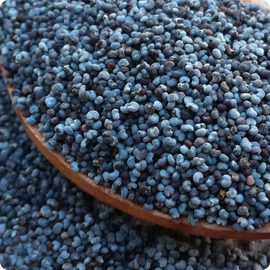 Popppy_-_Ziar_Blue_breadseed2_460x@2x
